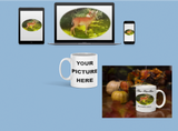 Coffee Mug Personalised, Upload a picture or logo, make your own coffee mug